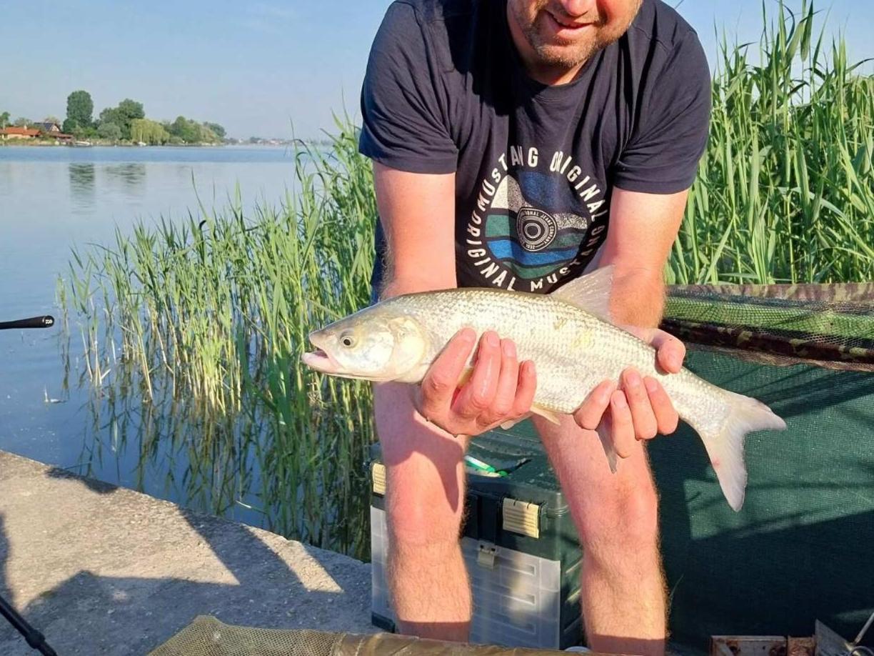 Steghouse Kis-Duna Domsod Zewnętrze zdjęcie